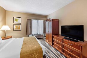 Comfort Suites Chesapeake - Norfolk