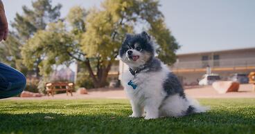 Arabella Hotel Sedona