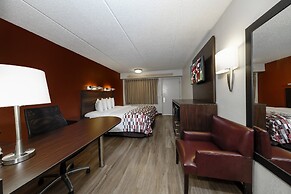 Red Roof Inn Tampa - Brandon