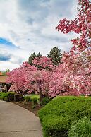 Mirabeau Park Hotel & Convention Center