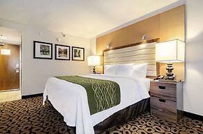 Comfort Inn Raleigh Midtown