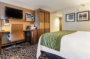 Comfort Inn Raleigh Midtown