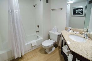 Comfort Inn Raleigh Midtown