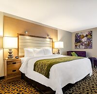 Comfort Inn Raleigh Midtown
