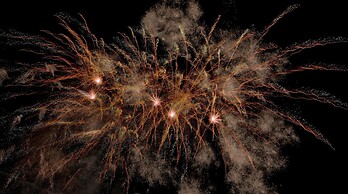 Tree Inn & Suites Albuquerque.