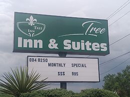 Tree Inn & Suites Albuquerque.