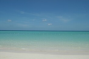 Negril Tree House Resort