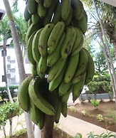 Negril Tree House Resort