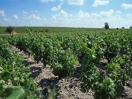 ibis Bordeaux Pessac Route des Vins Hotel
