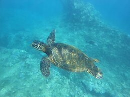 Four Seasons Resort Oahu at Ko Olina