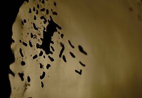 Omni Charlotte Hotel