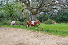 Forest Park Country Hotel & Inn, Brockenhurst, New Forest