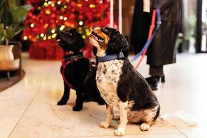 Kimpton Clocktower by IHG