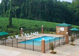 Quality Inn Dahlonega Near University