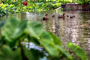 Sheraton Waikiki Beach Resort