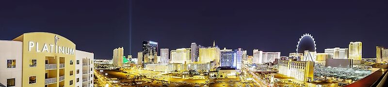 The Platinum Hotel
