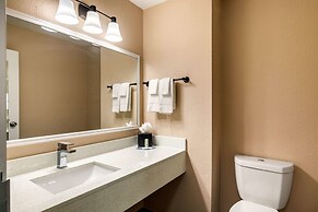 Quality Inn & Suites Plano East - Richardson