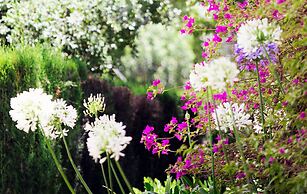 Marbella Club Hotel Golf Resort & Spa