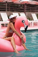 Downright Austin, A Renaissance Hotel