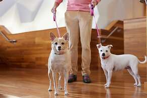 Sheraton Grand Nashville Downtown