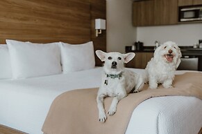 Atrium Hotel Vancouver