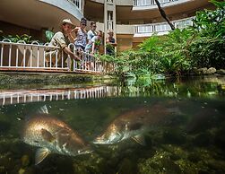 DoubleTree by Hilton Hotel Cairns