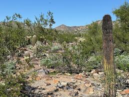 Hilton Scottsdale Resort & Villas