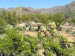 Hilton Scottsdale Resort & Villas