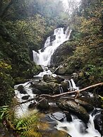 The International Hotel Killarney