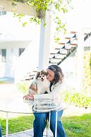 Wild Palms, a JdV by Hyatt Hotel