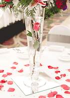 Radisson Hotel Corning