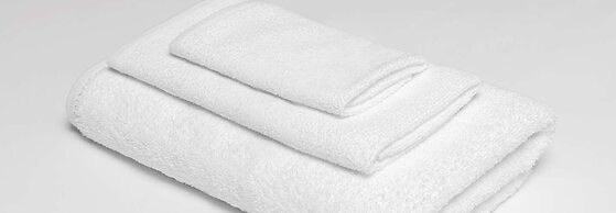 Americas Best Value Inn Roosevelt Ballard