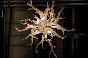 Hilton Chicago O'Hare Airport