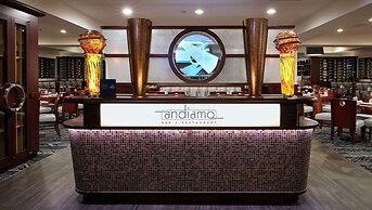 Hilton Chicago O'Hare Airport