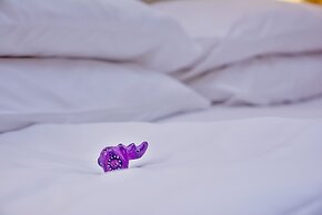 Fairmont The Norfolk