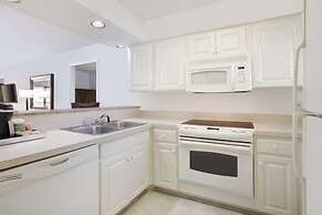Saddlebrook Golf Resort & Spa Tampa North - Wesley Chapel