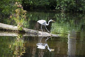 Saddlebrook Golf Resort & Spa Tampa North - Wesley Chapel