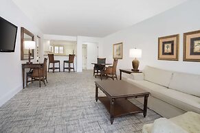 Saddlebrook Golf Resort & Spa Tampa North - Wesley Chapel