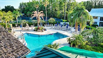 Saddlebrook Golf Resort & Spa Tampa North - Wesley Chapel