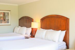 Cape Cod Irish Village