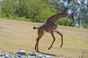 Holiday Inn & Suites Phoenix Airport North by IHG