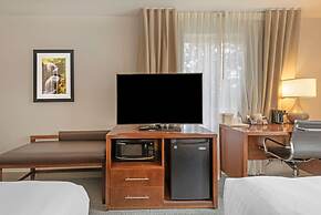 Comfort Inn & Suites Carbondale on the Roaring Fork