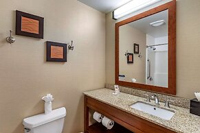 Comfort Inn & Suites Carbondale on the Roaring Fork