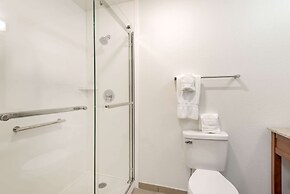 Comfort Inn & Suites Carbondale on the Roaring Fork