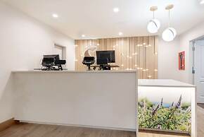 Comfort Inn & Suites Carbondale on the Roaring Fork