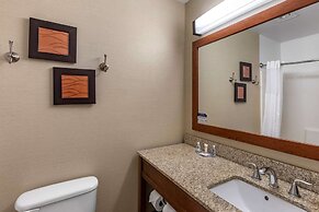 Comfort Inn & Suites Carbondale on the Roaring Fork