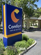 Comfort Inn & Suites Carbondale on the Roaring Fork