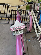 Comfort Inn & Suites Carbondale on the Roaring Fork