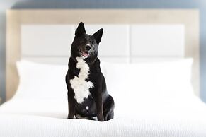 The Simon Hotel Sydney