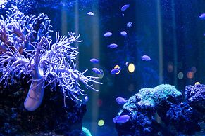 Naha Tokyu REI Hotel